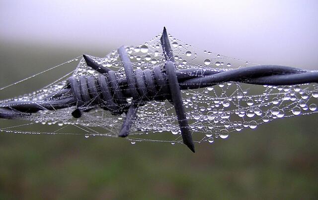 Schönes nasses Sauerland