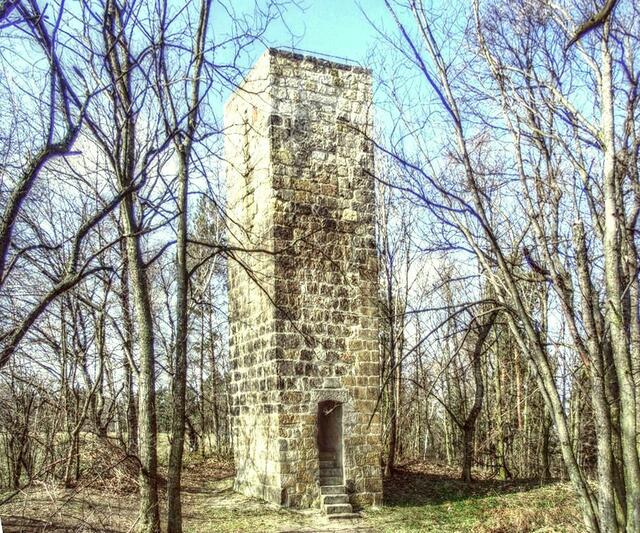 Altenburg - Warte im Stadtwald