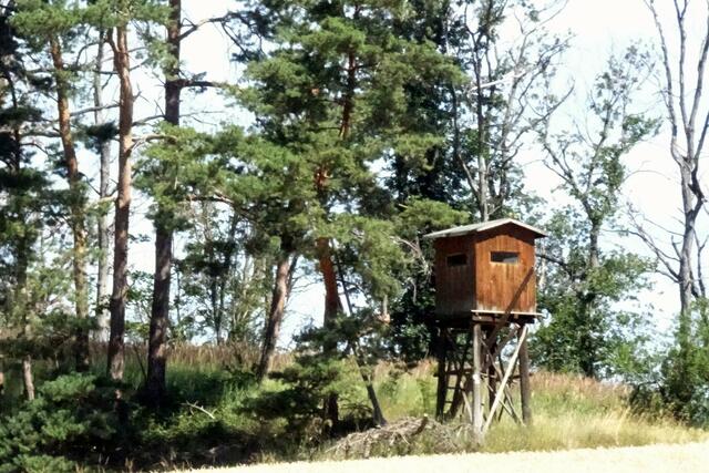 am nördlichen Stadtwald, die Waldschäden sind nicht übersehbar