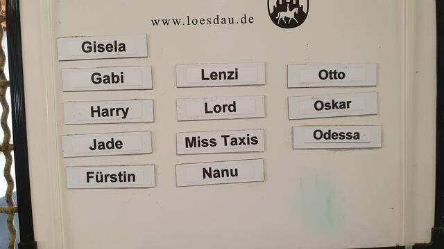 Jeder Hund hat einen Namen. | Foto: Horst Zimmer