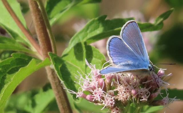 -- | Foto: Foto: Hildegard Grygierek