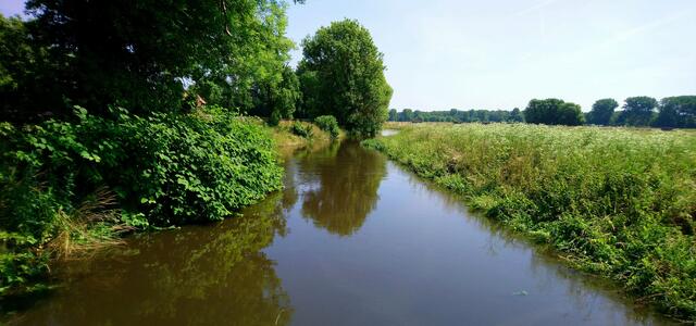 An der Fuhse in Dollbergen | Foto: Shima Mahi