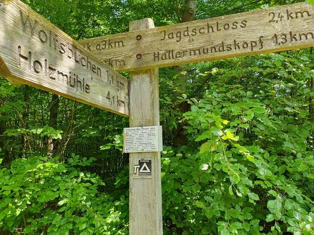 Wo gehen wir jetzt entlang | Foto: Horst Schönwandt