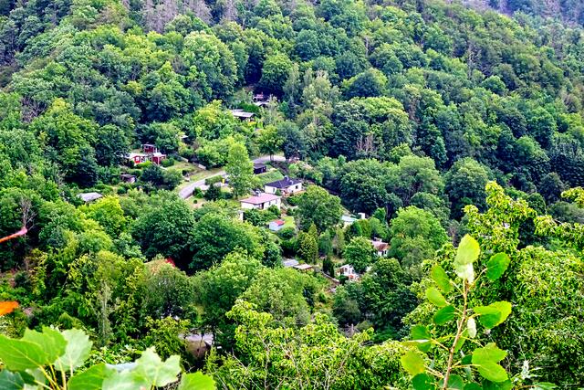 Von der Falkenklippe aus, Blick auf Spohnbleek - einer Siedlung in Treseburg  | Foto: Gerd Horenburg