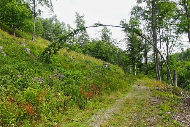 auf dem Weg zur Wildsteinwiese | Foto: Gerd Horenburg