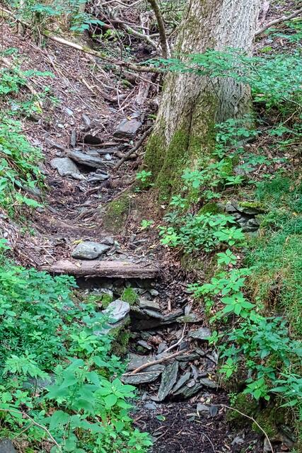 ein ausgetrockneter Bachlauf im Schreckental | Foto: Gerd Horenburg