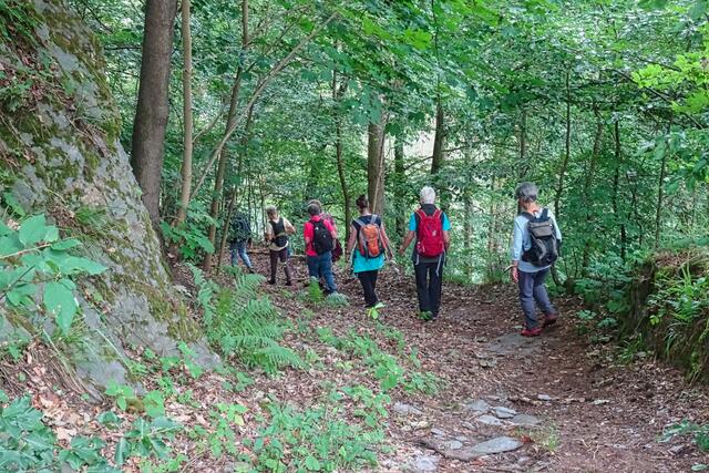 Abstieg ins Bodetal | Foto: Gerd Horenburg