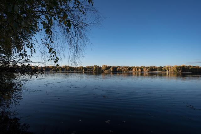 Foto: C: K. Battermann