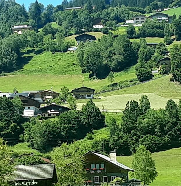 Foto: Iris  Alefelder