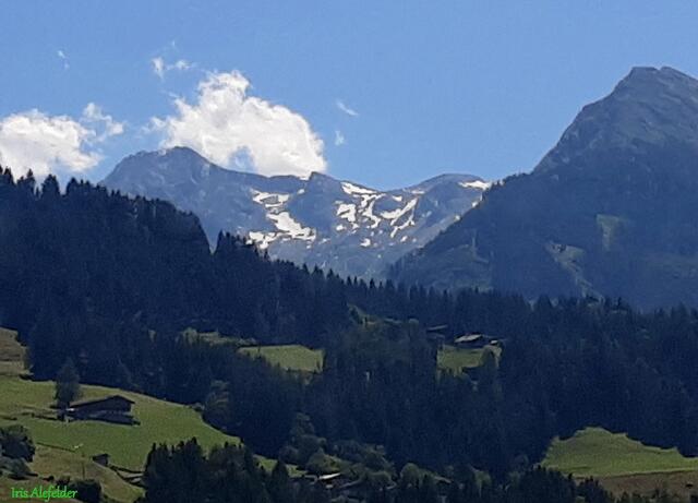 Foto: Iris  Alefelder