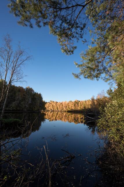 Foto: C: K. Battermann