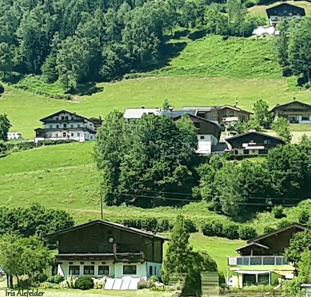 Foto: Iris  Alefelder