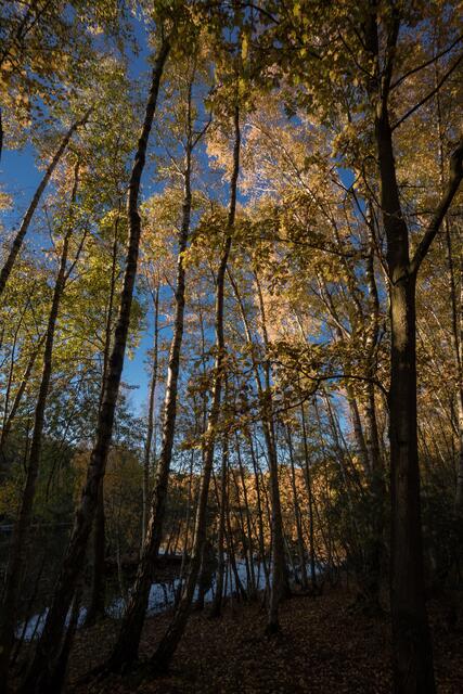 Foto: C: K. Battermann