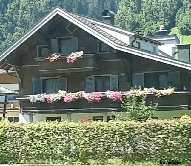 Foto: Iris  Alefelder