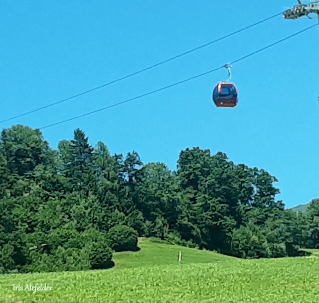 Foto: Iris  Alefelder