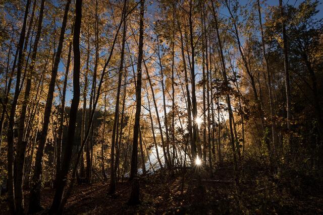 Foto: C: K. Battermann