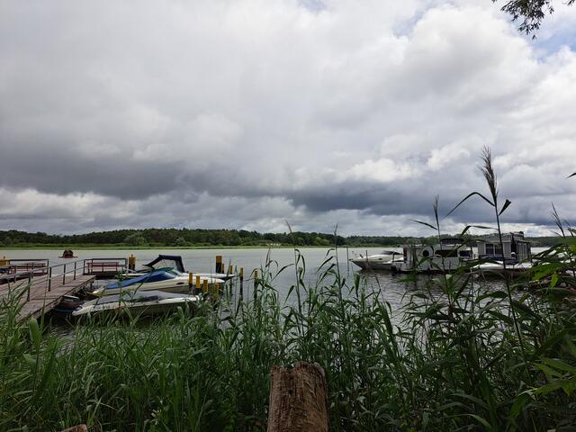 Blick über den Hohennauener See.