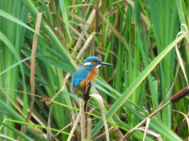 In Positur für den Fotografen