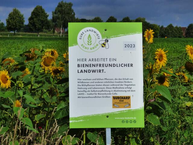 Geht man den Weg zu den Aussichtsplattformen kommt man an einem Blühstreifen vorbei.