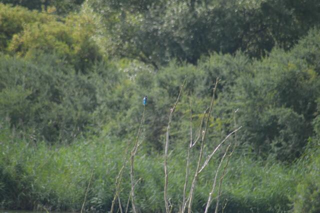 Was ist das blaue da hinten?