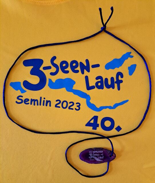 T-Shirt-Motiv mit Medaille.