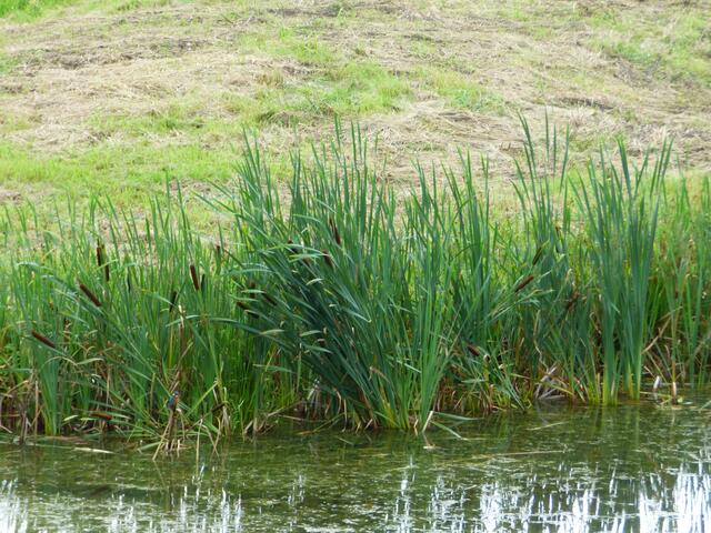 Zurück auf Plattform 1. Was ist denn da unten links?