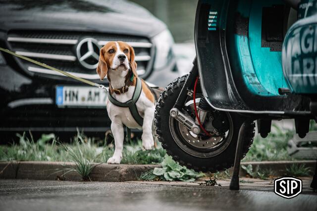 Foto: SIP Scootershop