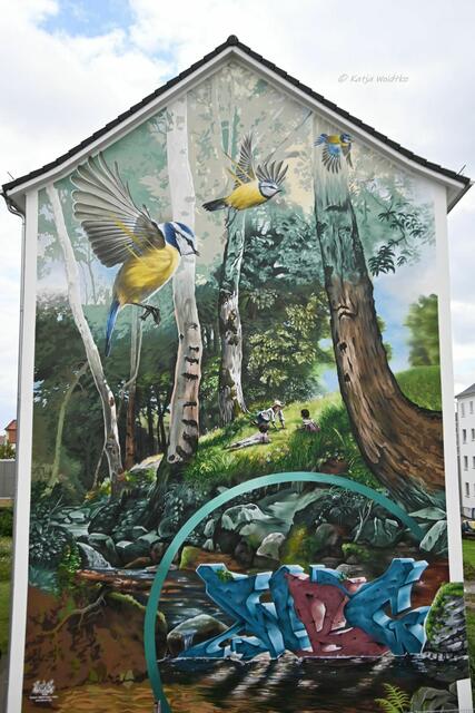 Streetart in Laatzen

BeNeR1, Mister Copy und Dekor haben ein Stück Natur auf zwei Fassaden der Wohnungsbaugenossenschaft Laatzen eG gezaubert

Sommer | Foto: Katja Woidtke