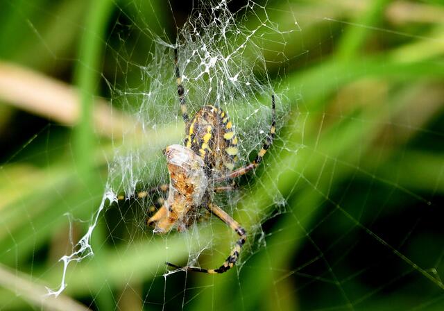 Foto: Copyright Andreas Schäfer
