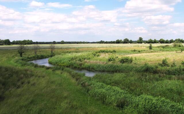 In der Wietzeaue bei Langenhagen verschwindet der Bach aus unserem Blickfeld. Nach 37 Kilometern mündet er bei Winsen in die Aller.