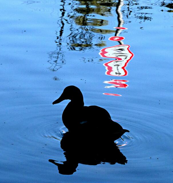 Foto: Helmut Weinl