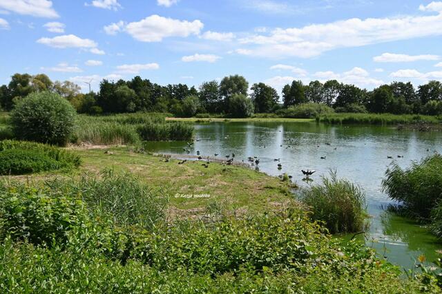 Naturparadiese in Niedersachsen

Stapelteiche bei Vörie | Foto: Katja Woidtke