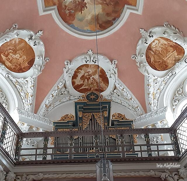 Foto: Iris  Alefelder und W.F.