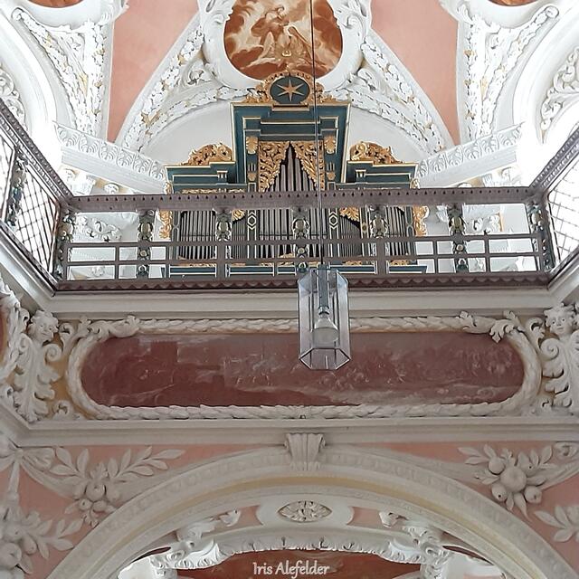 Foto: Iris  Alefelder und W.F.