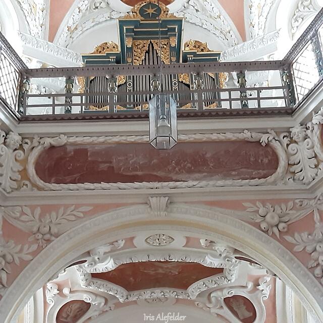 Foto: Iris  Alefelder und W.F.