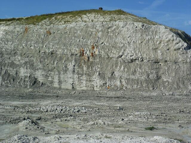 Die Schichten in der Mergelgrube Höver. Die Schichten in der Grube haben verschiedene Neigungen. Ursache hierfür ist der Salzstock, der vor Millionen Jahren aus größerer Tiefe in Rrichtung Oberfläche gewandert ist und den Mergel angehoben hat.
