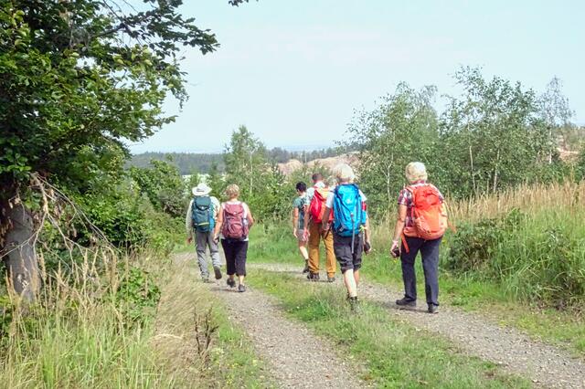 auf dem Weg zum Grauwacken Steinbruch