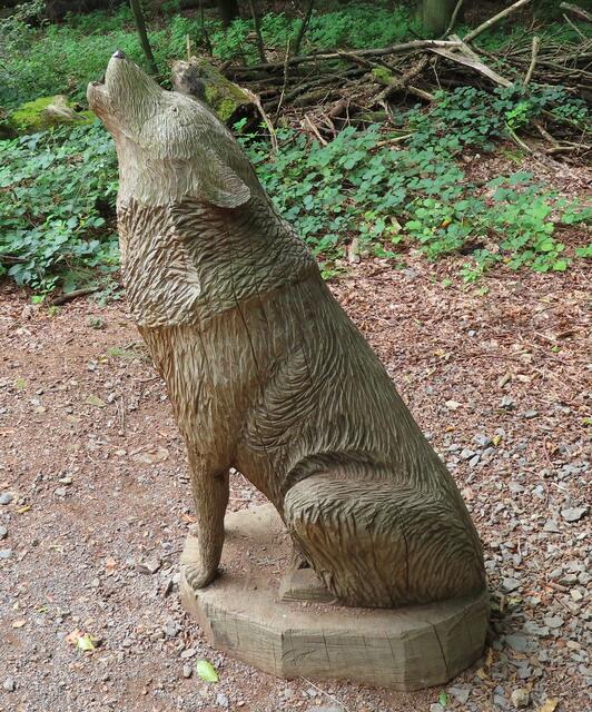 Der WOLF darf im Wald natürlich auch nicht fehlen. | Foto: M. A.
