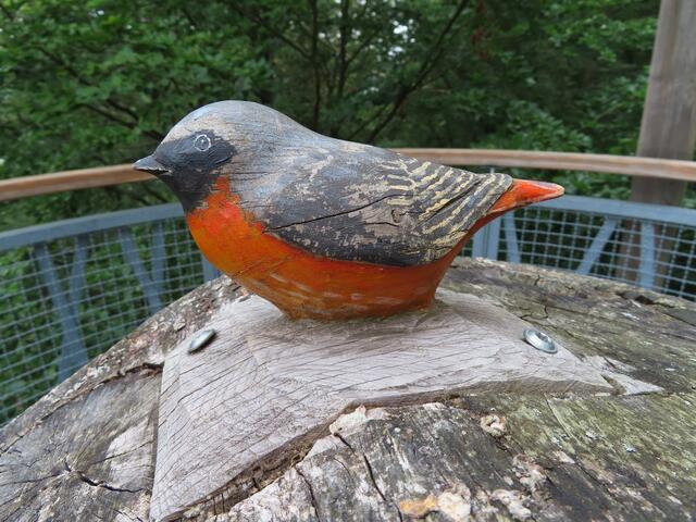 Ich habe keine Ahnung, was das für ein Vogel sein soll (ein Hinweisschild habe ich nicht gesehen). | Foto: M. A.