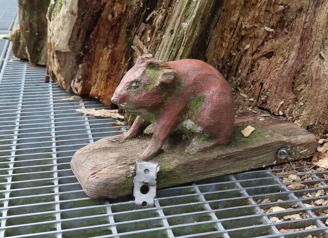 Das MÄUSCHEN hatte sich so klein wie möglich gemacht, ist auf dem vorherigen Bild aber trotzdem zu sehen (re. unten). | Foto: M. A.