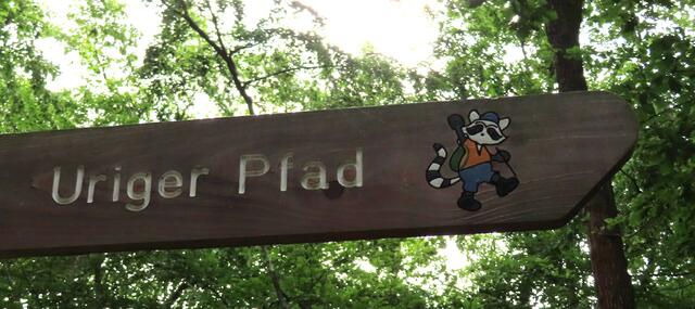 Und jetzt begeben wir uns auf den "Urigen Pfad", um wieder zum Eingang bzw. Ausgang und somit zum Parkplatz zu kommen. | Foto: M. A.