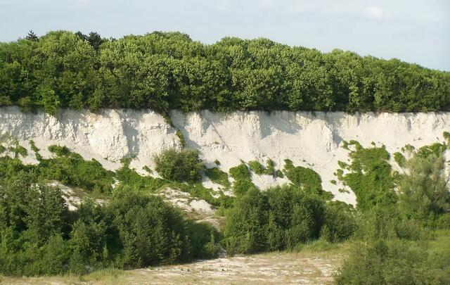 Das weiße, bröslige Gestein erinnert an die Kreidefelsen von Rügen.