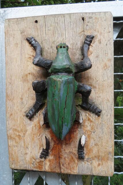 Hier hatte ich keinen Hinweis gefunden, um was für einen KÄFER (?) es sich handelt. | Foto: M. A.