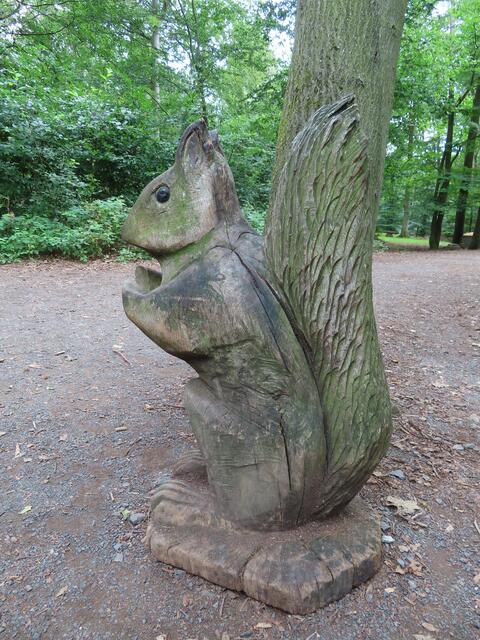 Der Erdboden hat uns wieder und wir gehen den "Eichhörnchenpfad" (den wir vom Eingang her gegangen waren) wieder ein Stück zurück, um auf dem "Urigen Pfad" den Rückweg zum Parkplatz anzutreten. | Foto: M. A.