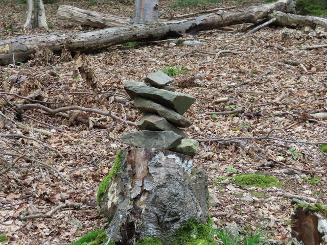... haben wir auch auf einem Stück des "Urigen Pfades" gesehen. | Foto: M. A. 