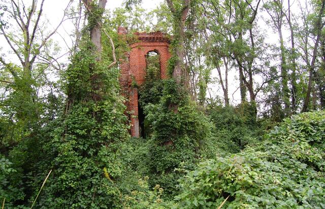 Am Stichkanal zum alten Hafen kann man im Wald hinter dem Motorboot-Club eine romantisch wirkende Ruine entdecken. 
