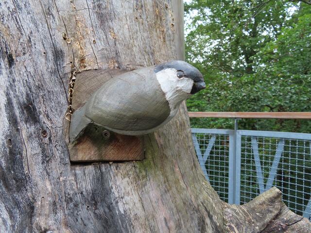 Hier habe ich leider keinen Hinweis gefunden, was das für ein Vogel sein soll. | Foto: M. A.
