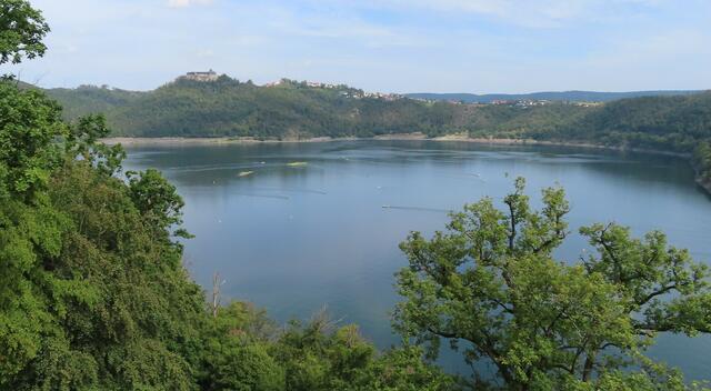 Blick vom "Wildtierpark Edersee" auf den Edersee und Schloss Waldeck und die Stadt Waldeck. | Foto: M. A.