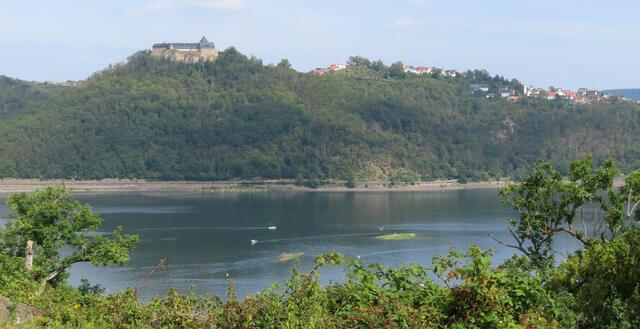 Blick vom "Wildtierpark Edersee" auf den Edersee und Schloss Waldeck und die Stadt Waldeck. | Foto: M. A. 