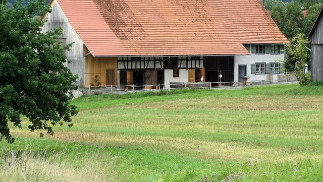 Haus 9
Der Bau vom Hof Beck aus Taldorf, erbaut um 1728, diente als Lehensgut des Klosters Weißenau.
 | Foto: Luis Walter